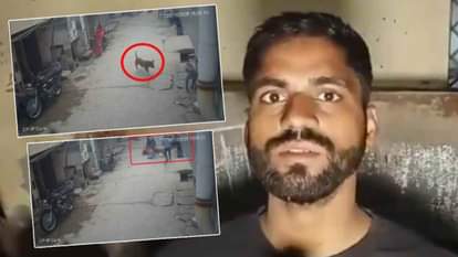 eyewitness said child injured in pitbull attack in Prem Nagar