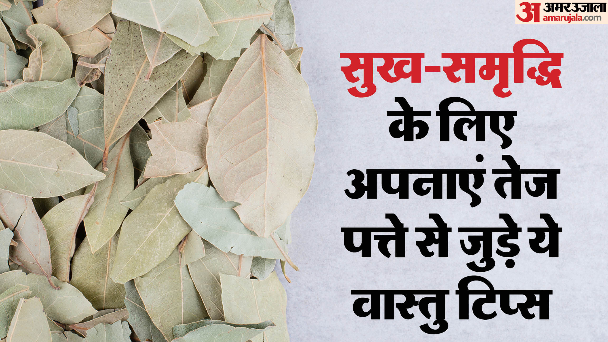 Vastu tips for bay leaf get rid from money problesm and get fulfill your wishes tej patta vastu upay in hindi