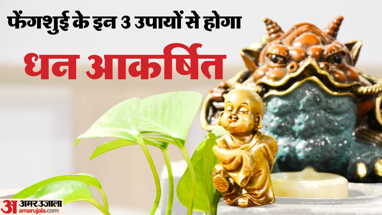 Feng Shui Tips these 3 things keep in your house for money growth and wealth
