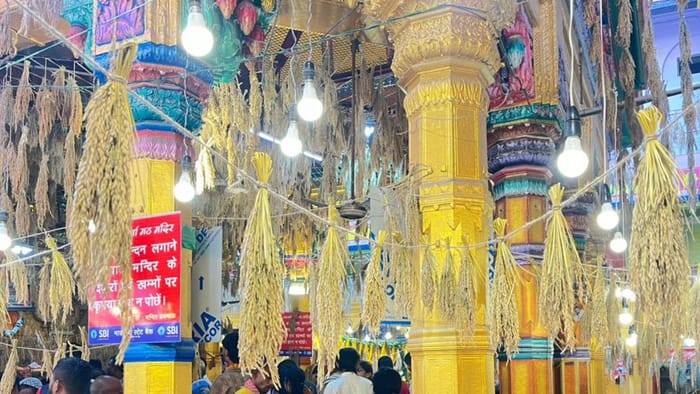 PHOTOS: धान की बालियों से सजा मां अन्नपूर्णा का दरबार, तस्वीरों में देखें- श्रद्धालुओं का उत्साह Mahavrata of 17-day of Maa Annapurna completion in varanasi see latest photos