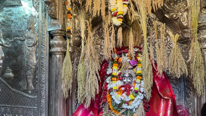 PHOTOS: धान की बालियों से सजा मां अन्नपूर्णा का दरबार, तस्वीरों में देखें- श्रद्धालुओं का उत्साह Mahavrata of 17-day of Maa Annapurna completion in varanasi see latest photos