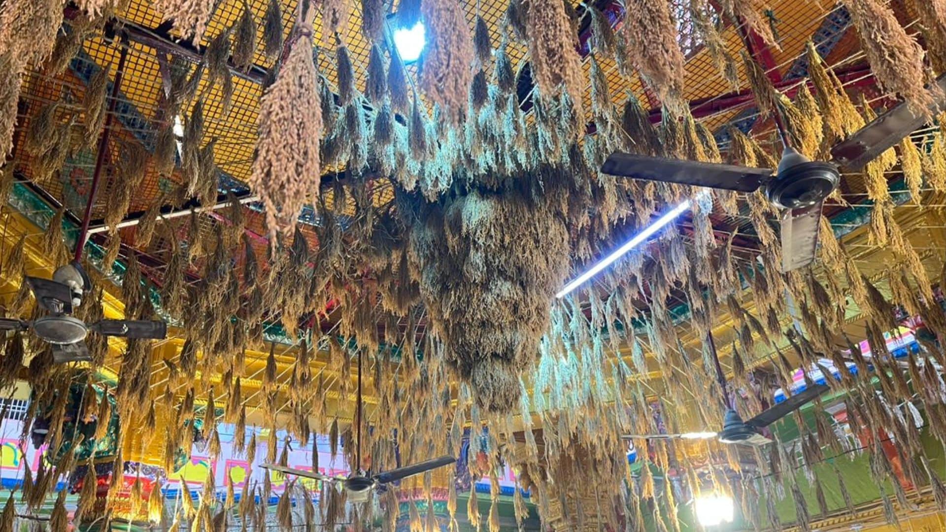 Mahavrata of 17-day of Maa Annapurna completion in varanasi see latest photos