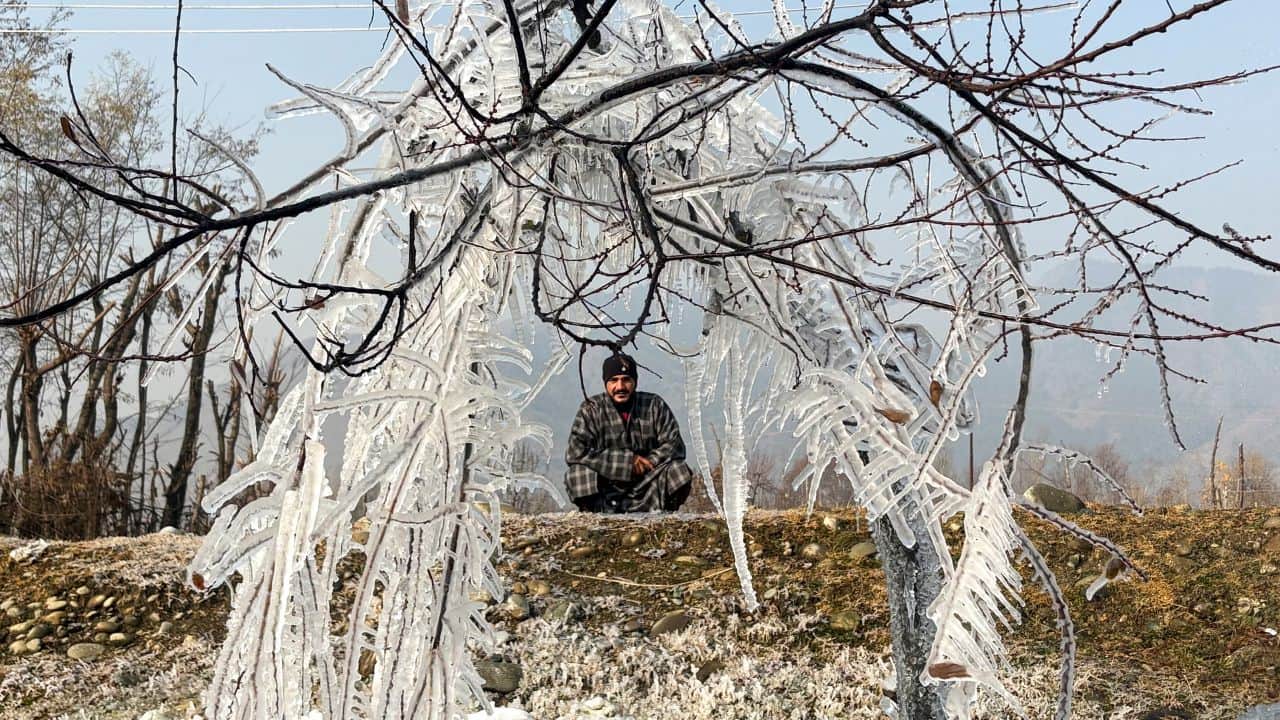 पहलगाम में पेड़ की टहनियों पर जमी बर्फ देखता एक व्यक्ति।