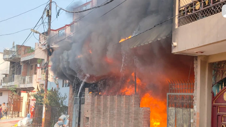 Kanpur: Fireworks set off to celebrate the arrival of a bride sparked a fire at a plastic warehouse