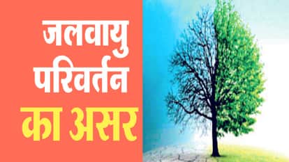 Impact of climate change: Snow belt shifts in Himachal, stone fruit replaces apples