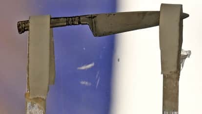 Guru Gobind Singh Ji used to wear 3-inch sword in his hair