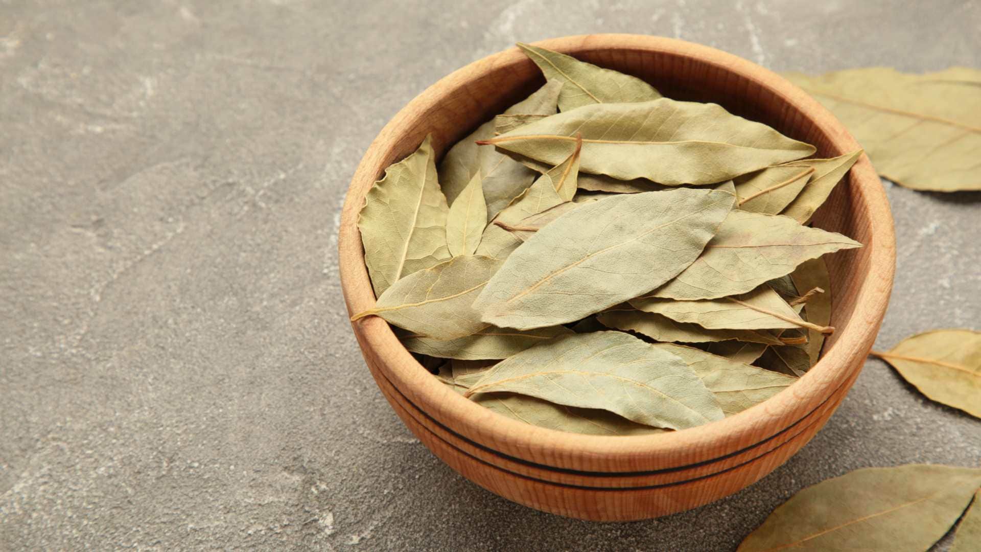 Vastu tips for bay leaf get rid from money problesm and get fulfill your wishes tej patta vastu upay in hindi