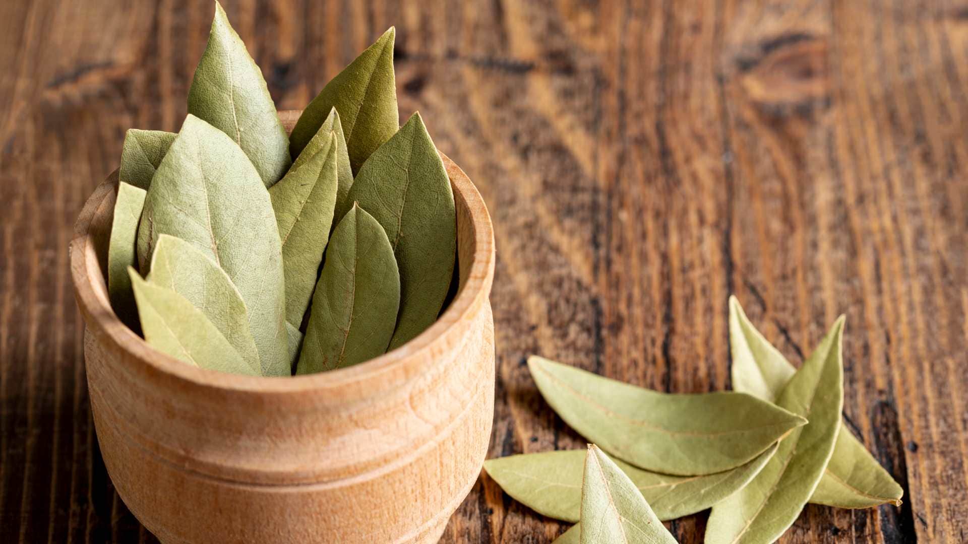 Vastu tips for bay leaf get rid from money problesm and get fulfill your wishes tej patta vastu upay in hindi