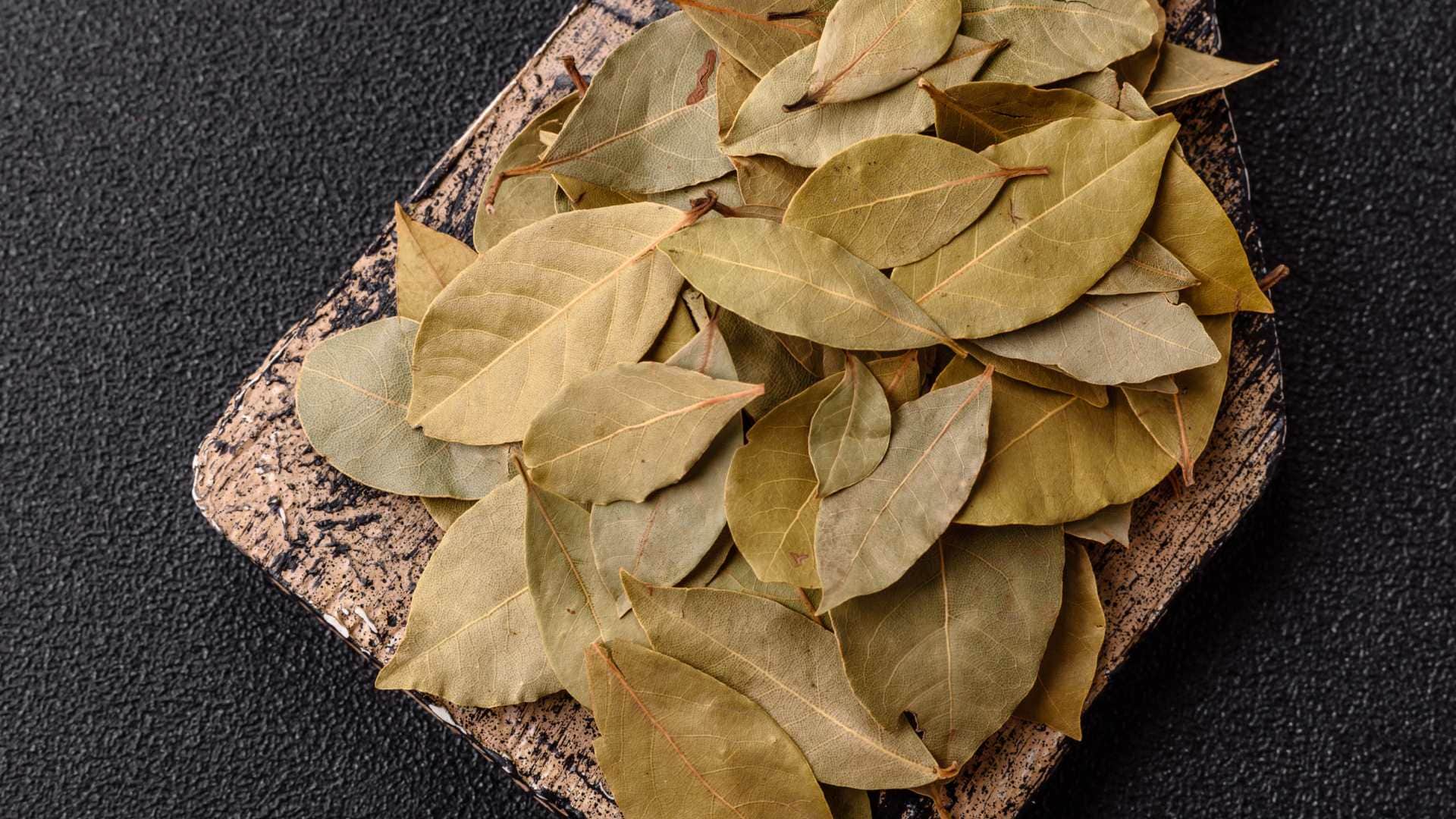 Vastu tips for bay leaf get rid from money problesm and get fulfill your wishes tej patta vastu upay in hindi