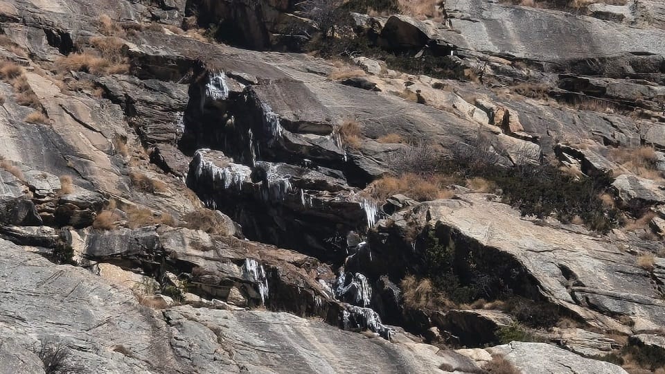 Rivers and streams in Gangotri National Park have frozen due to falling temperatures