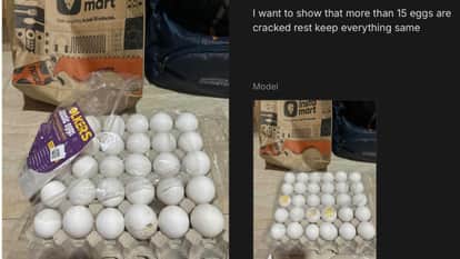 ai fake eggs image instamart refund viral post quick commerce risk