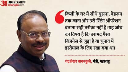 Bawankule questions Sena MLA's 'sting op'; BJP's Nilesh Rane defends party workers