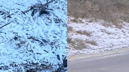 Himachal Weather: Chill increases in Himachal, temperature drops to -7.3 degrees in Tabo, clear weather expect