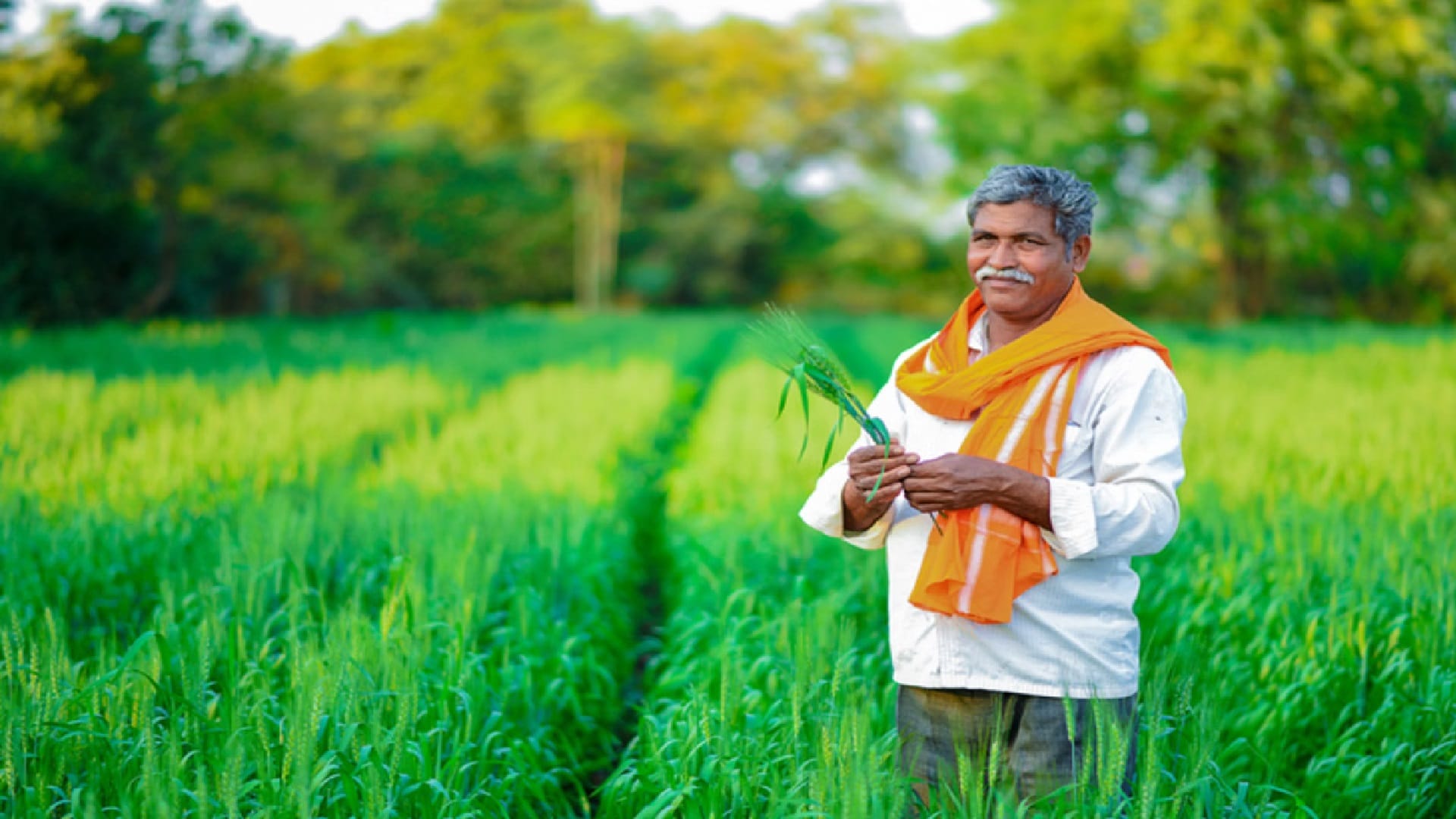 Cg:धान खरीदी पंजीयन की तिथि बढ़ी, अब 30 नवंबर तक किसान करा सकेंगे  रजिस्ट्रेशन; पोर्टल पर सभी सुविधाएं उपलब्ध - Paddy Procurement Registration  Date Extended, Farmers Can ...