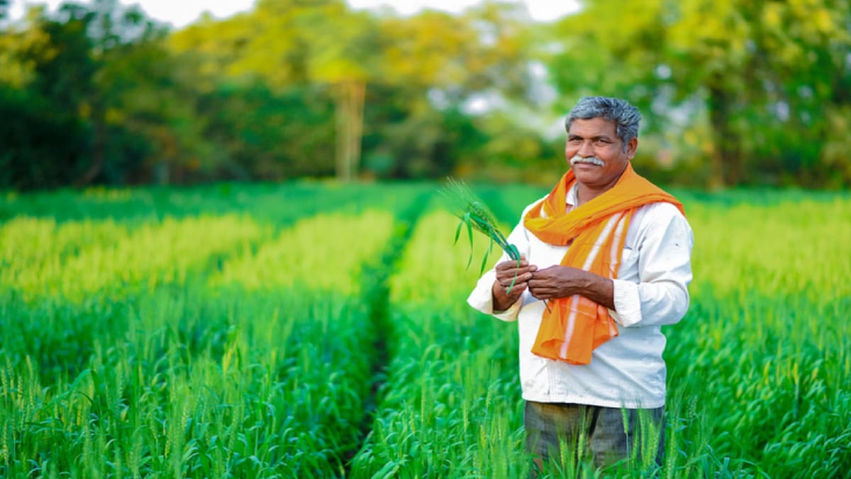 Cg:धान खरीदी पंजीयन की तिथि बढ़ी, अब 30 नवंबर तक किसान करा सकेंगे  रजिस्ट्रेशन; पोर्टल पर सभी सुविधाएं उपलब्ध - Paddy Procurement Registration  Date Extended, Farmers Can Now Register Until November 30 In Chhattisgarh -  Amar Ujala Hindi News Live