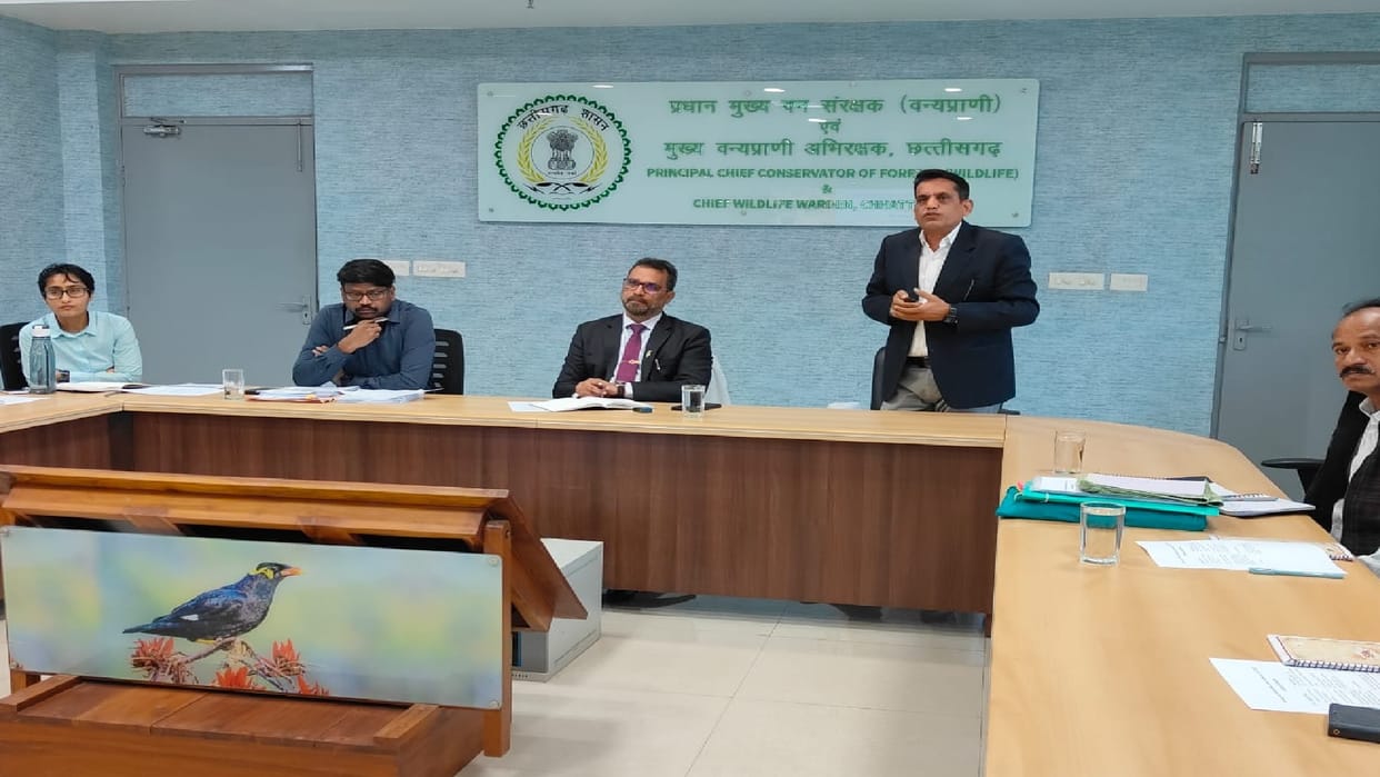 Important meeting on wild buffalo conservation in Raipur, instructions to speed up the relocation process