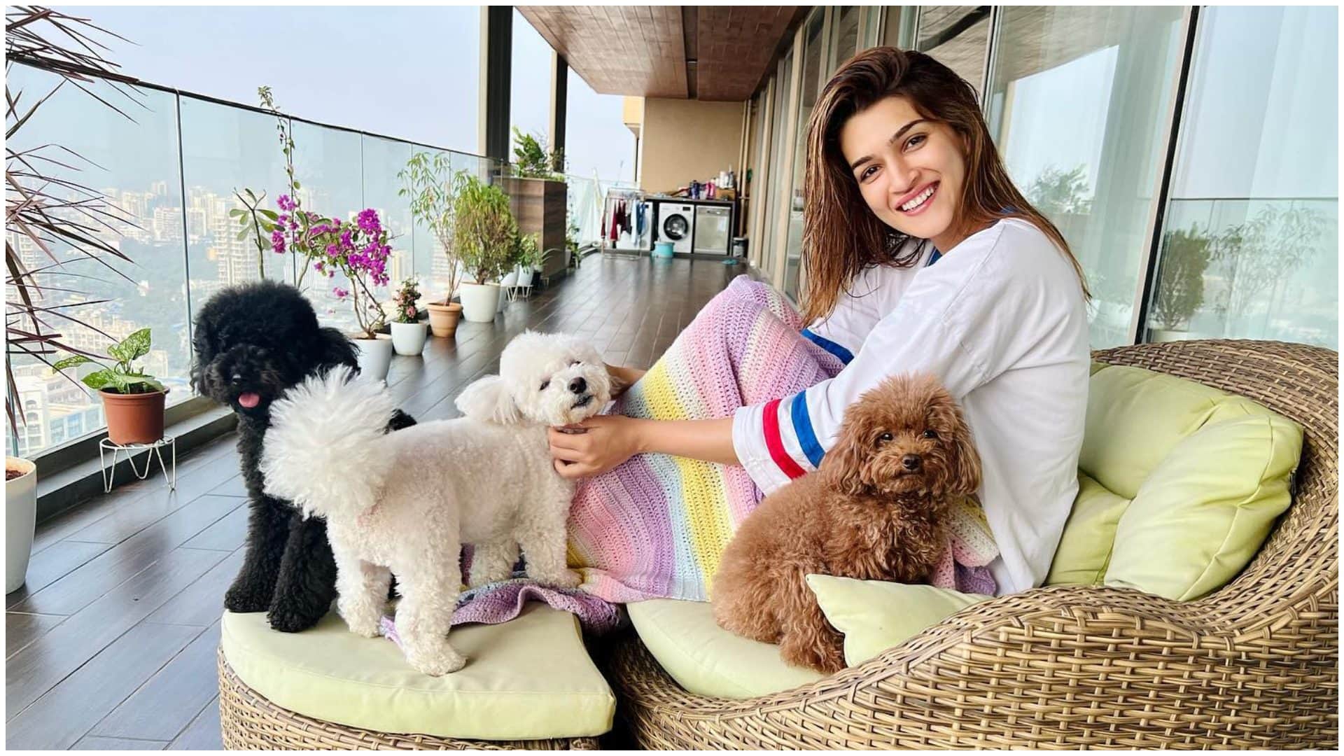 Actress Kriti Sanon House in Mumbai Bandra Luxurious Sea Facing Penthouse inside Photos