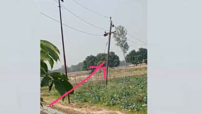 Lucknow: Seven people, including the JE and SDO, were trapped after a bribe of Rs 60,000