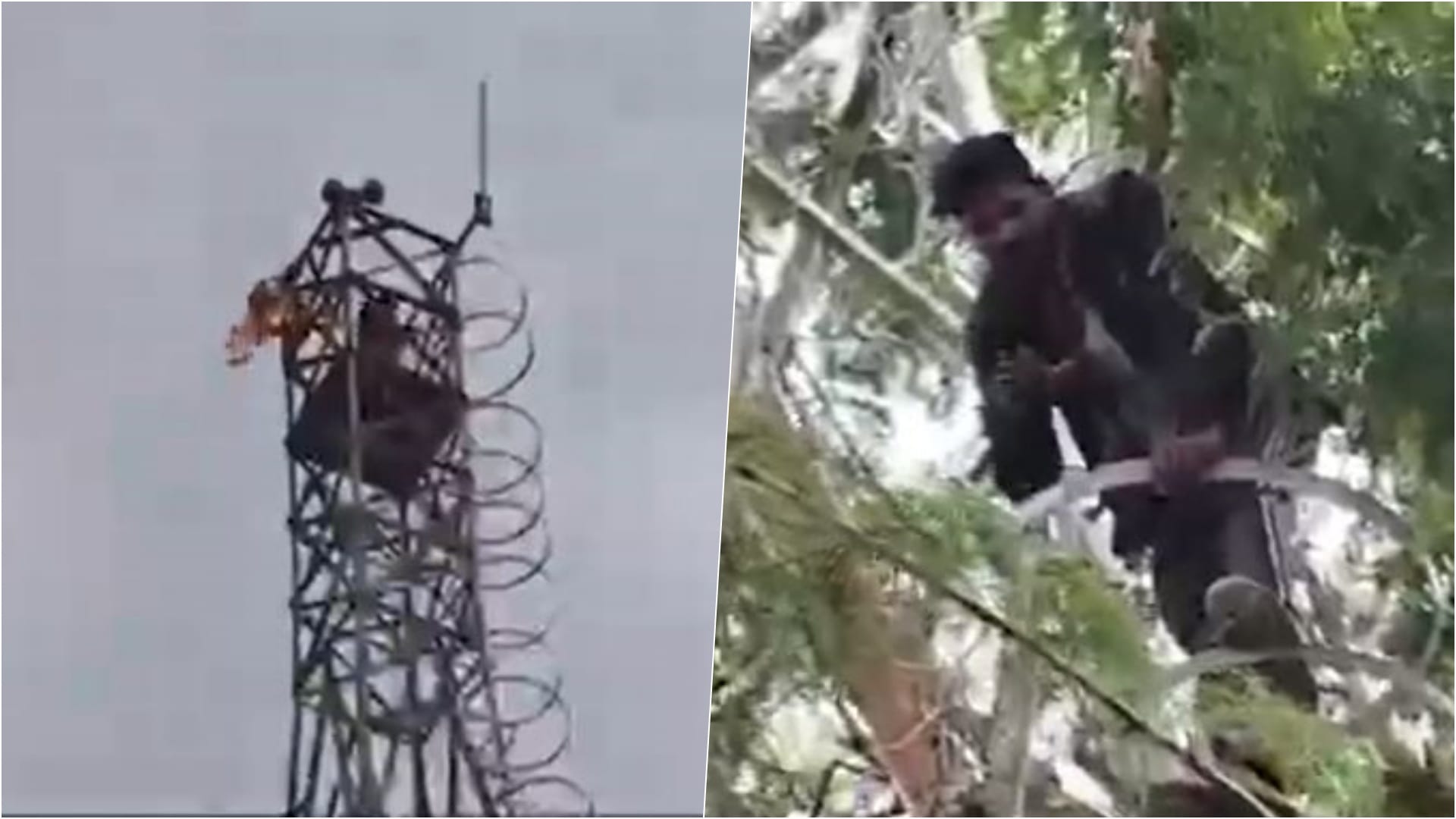 सौ फीट ऊंचे टॉवर पर चढ़ा युवक