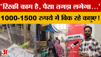 Sting Operation: Local turtles are available in Varanasi for Rs 1000-1500, and are being delivered to customer