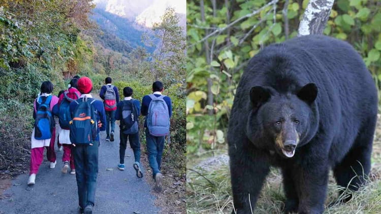 उत्तराखंड में भालू का भय: जंगल के रास्ते से गुजरना मजबूरी, चमोली में बच्चे सीटियां बजाकर स्कूल से पहुंच रहे घर