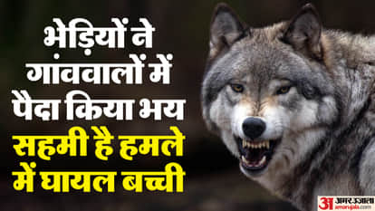 wolves tried to drag girl from her home In Bondi area of Bahraich sound has frightened residents