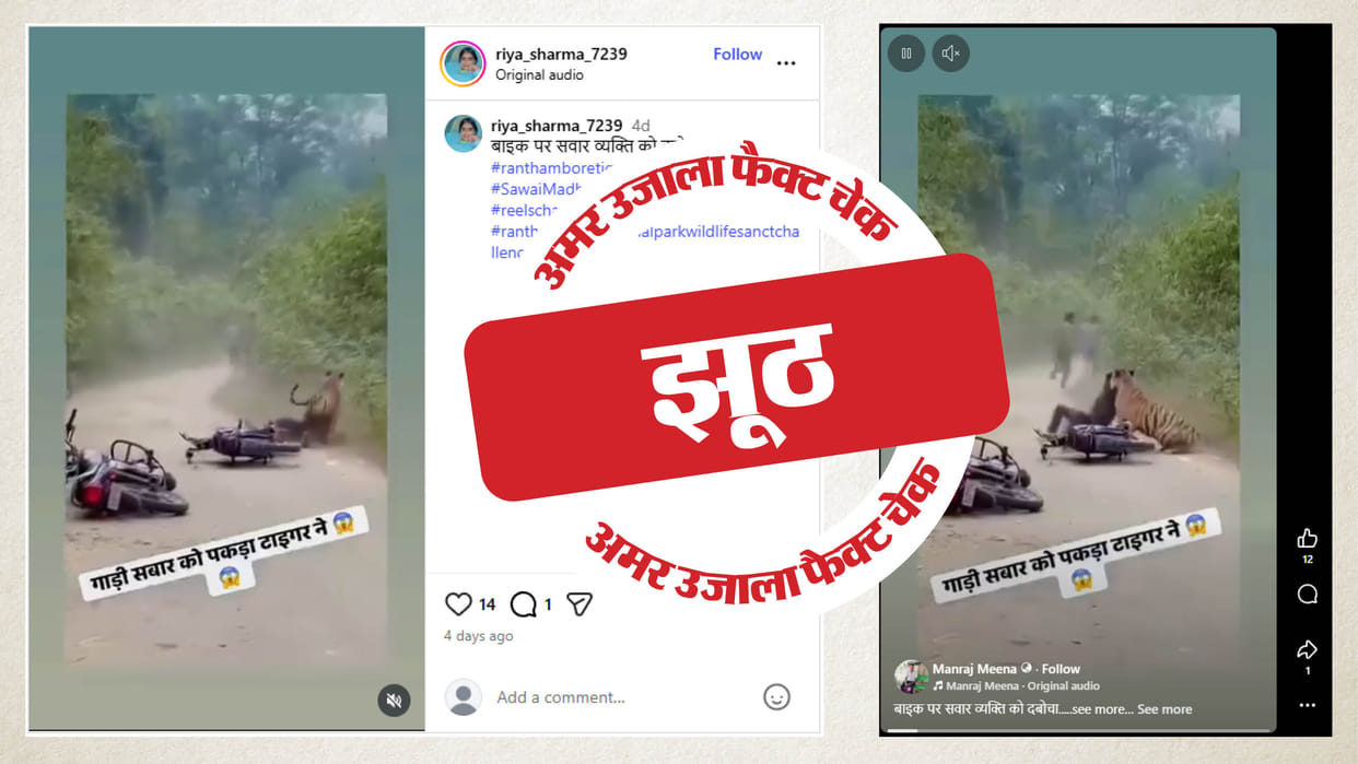 Fact Check AI video of a tiger attack being shared as real