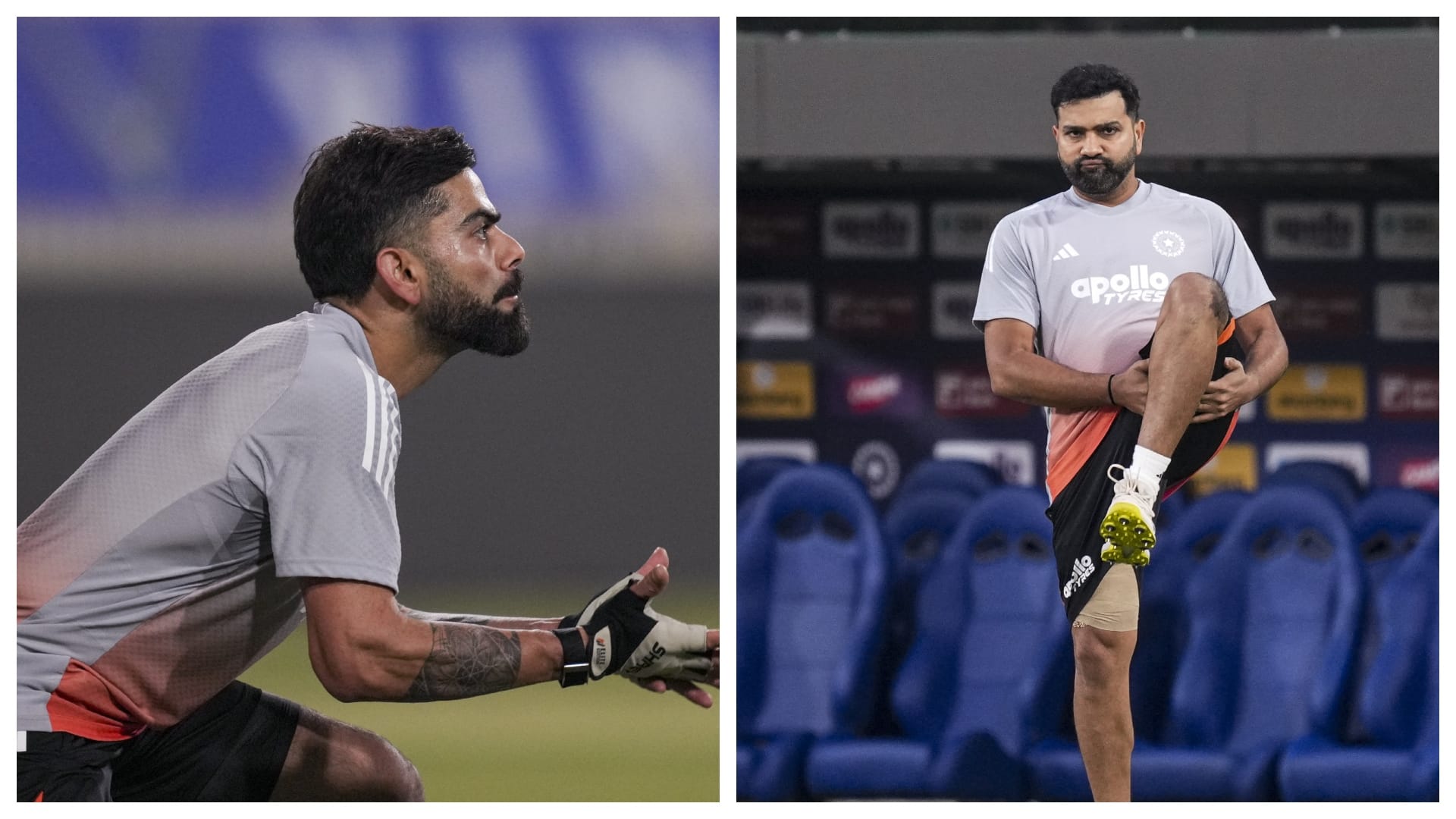 Rohit-kohli:रोहित और कोहली के 2027 विश्व कप में खेलने पर मोर्कल ने दिया  जवाब, दोनों की फिटनेस को बताया अहम - India's Bowling Coach Morne Morkel On  Can Rohit Sharma And Virat