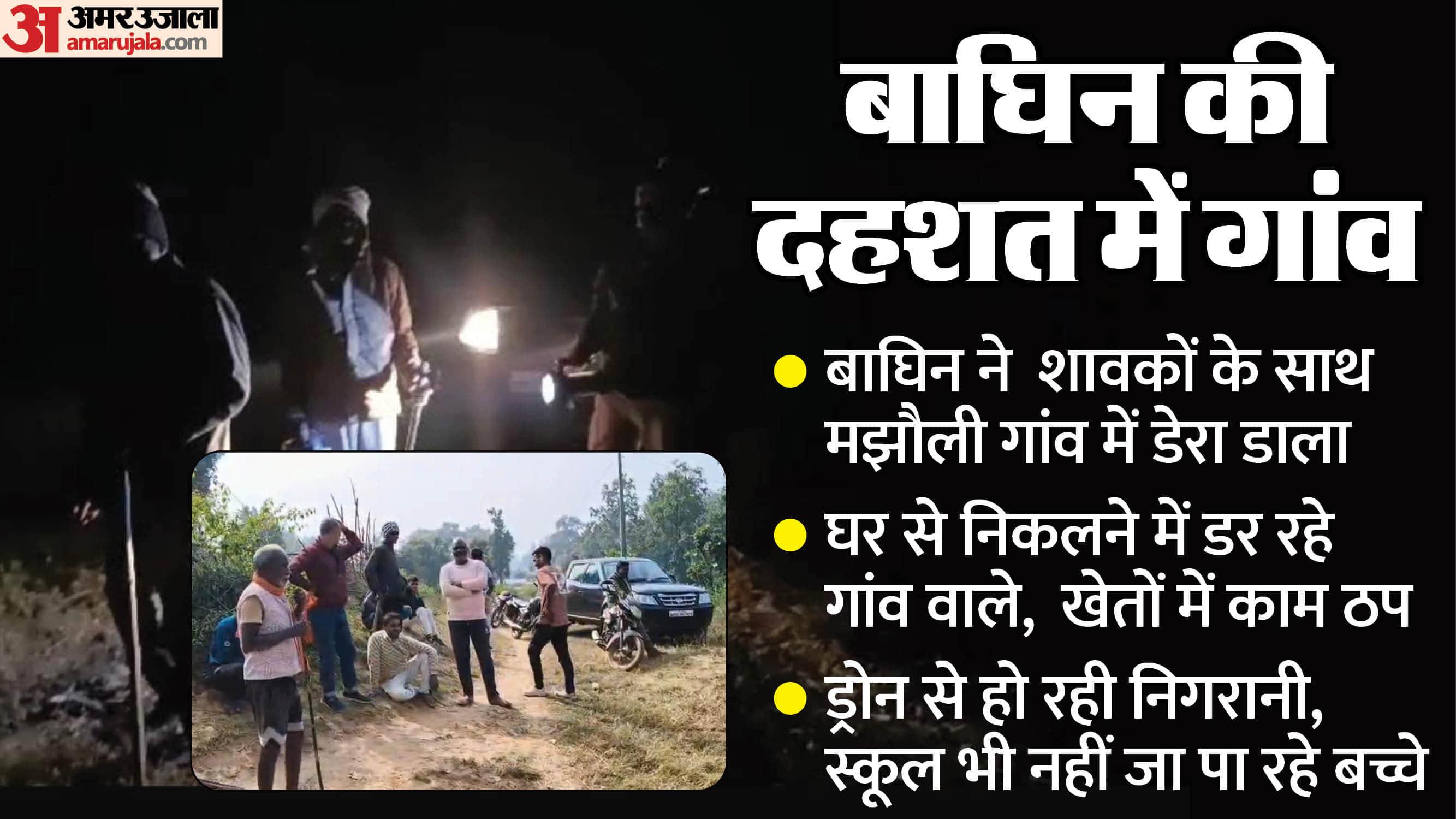 उमरिया में बाघिन से दहशत