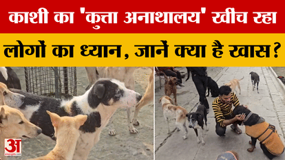 Varanasi's 'Dog Orphanage' is attracting people's attention, know what is special?