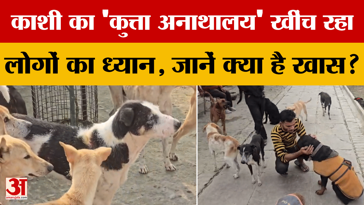 Varanasi का 'कुत्ता अनाथालय' खींच रहा लोगों का ध्यान, जानें क्या है खास?
