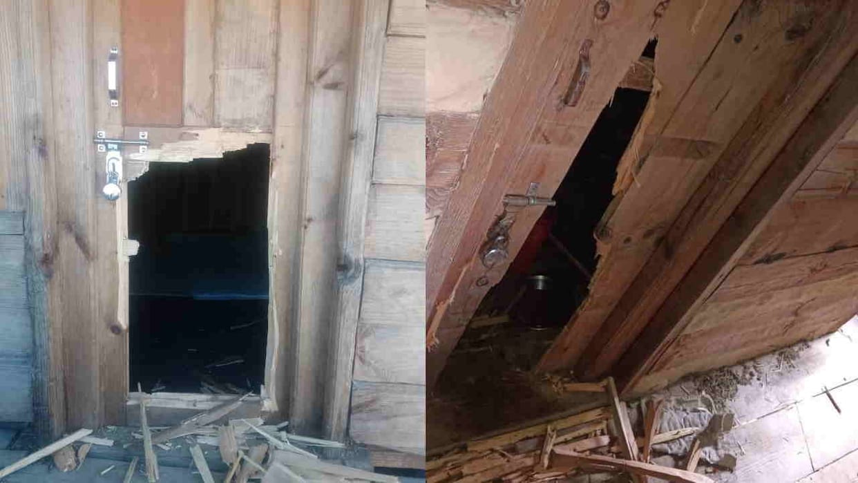 Bear Attack Bear broke doors of several houses Purola Uttarkashi people spent the night in fear Uttarakhand