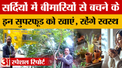 Learn from experts the super benefits of Neem, Moringa, and Tulsi for boosting health and immunity.