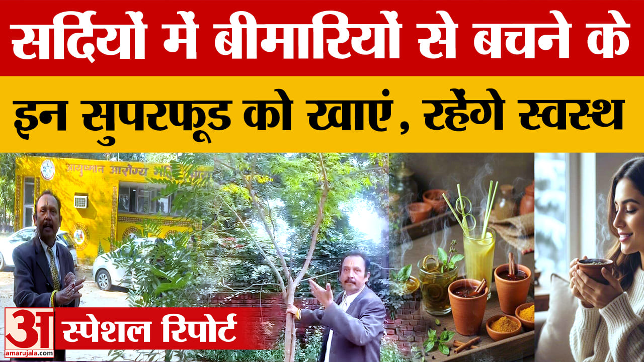 एक्सपर्ट से जानिए नीम, सहजन और तुलसी से स्वास्थ्य और इम्यूनिटी बढ़ाने के सुपर फायदे