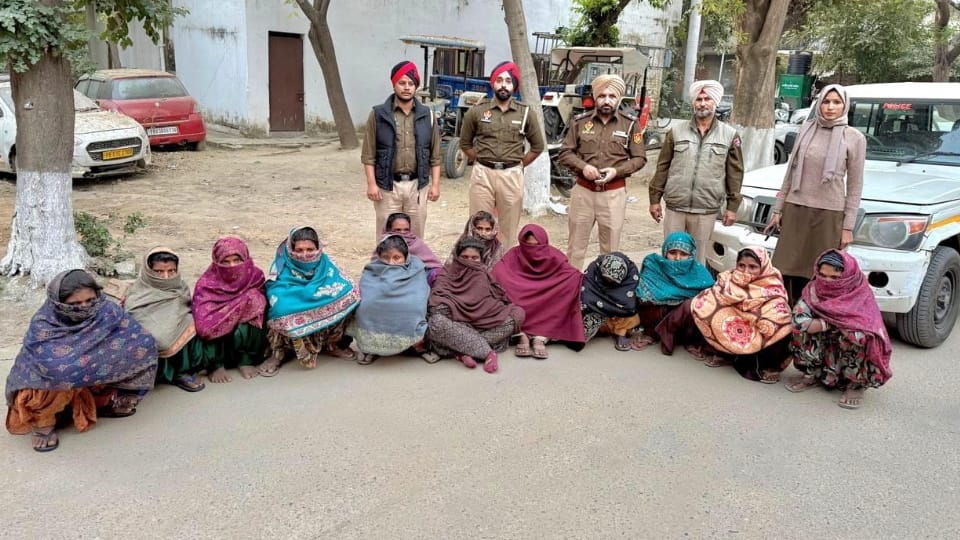 13 women of Halwara robbery gang arrested ludhiana crime news