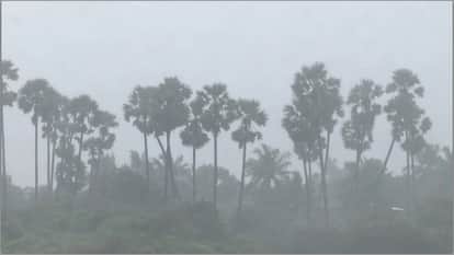 Cyclone Ditwah havoc: Rain and storm wreak havoc in South India, flights cancelled; Sri Lanka on high alert