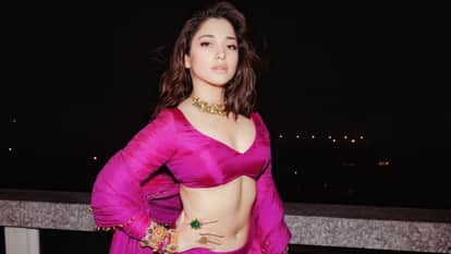 tamannaah bhatia birthday special life career movies journey bollywood south 2025