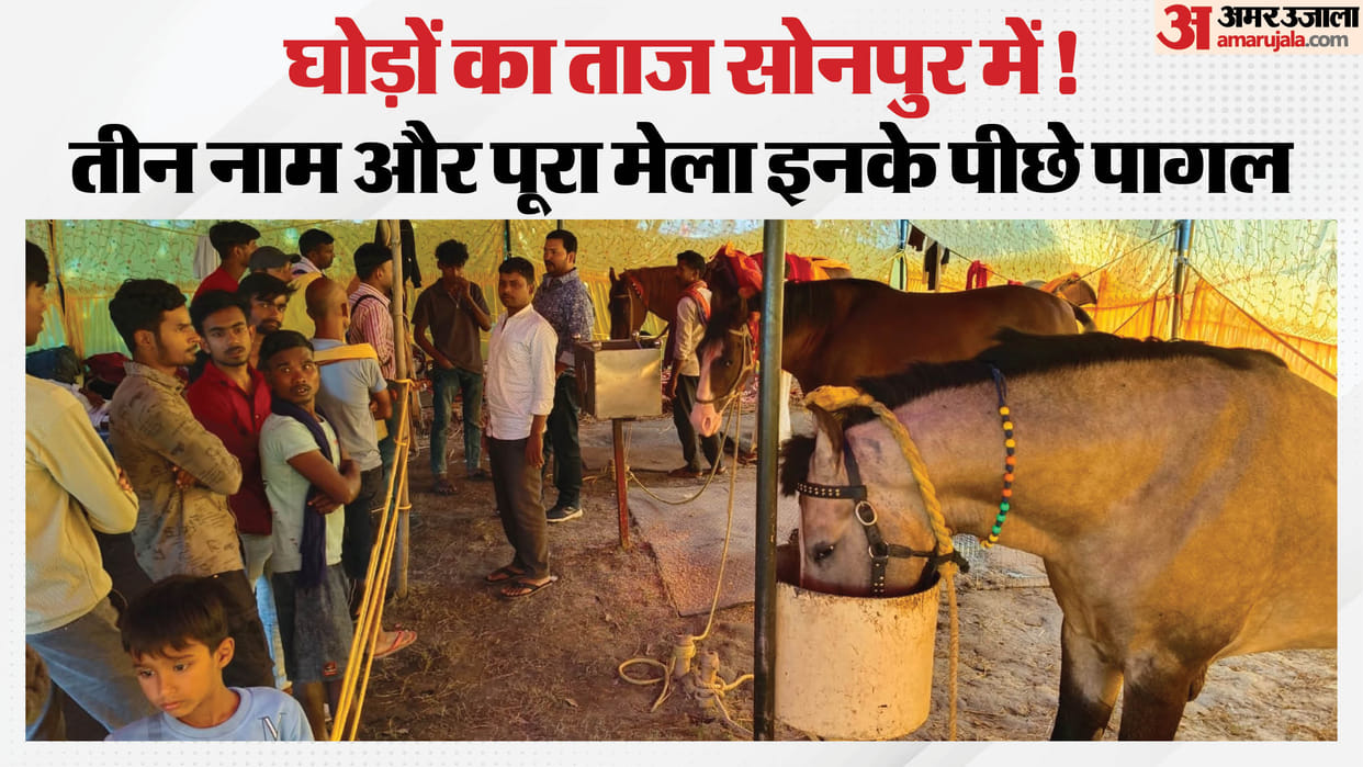Bihar: Three horses galloped at the Sonepur fair Crowds gathered to see the AK-56, Thar, and Babar