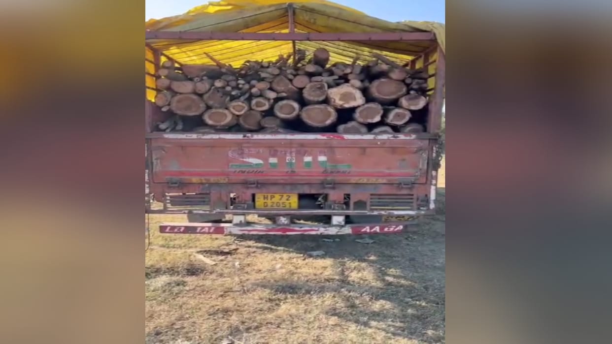 Una: Interstate timber smuggling attempt foiled, seven vehicles seized; Amb Forest Range takes action