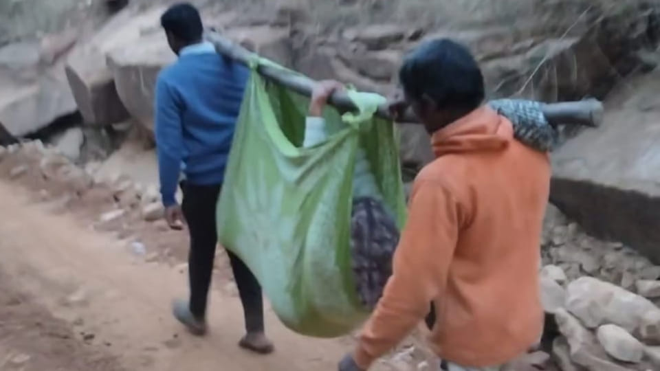 Chitrakoot: Ambulance fails to reach due to dilapidated road, doli becomes the support for pregnant woman