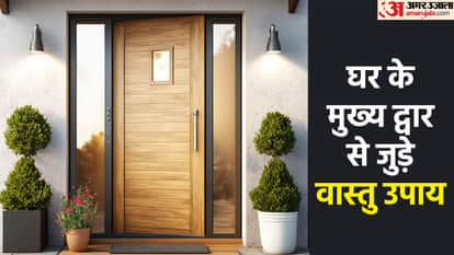 Door Vastu Tips Avoid These Type Of Pic In Main Door Know how To Attract Positive Energy