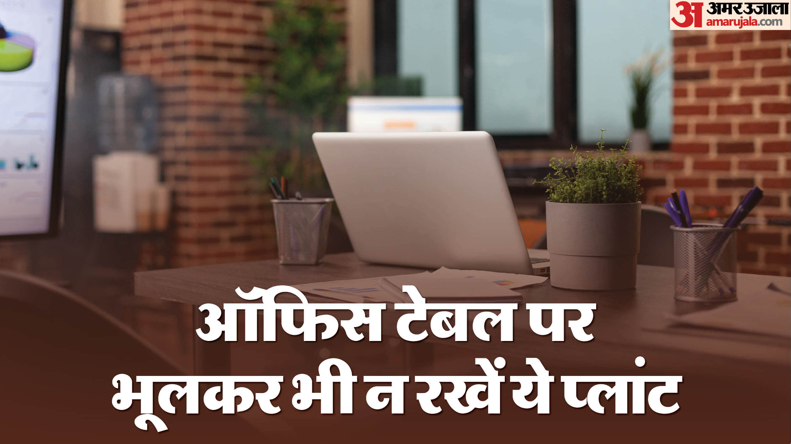 Vastu Tips for office never keep this plant on the office table progress and promotion will be stopped