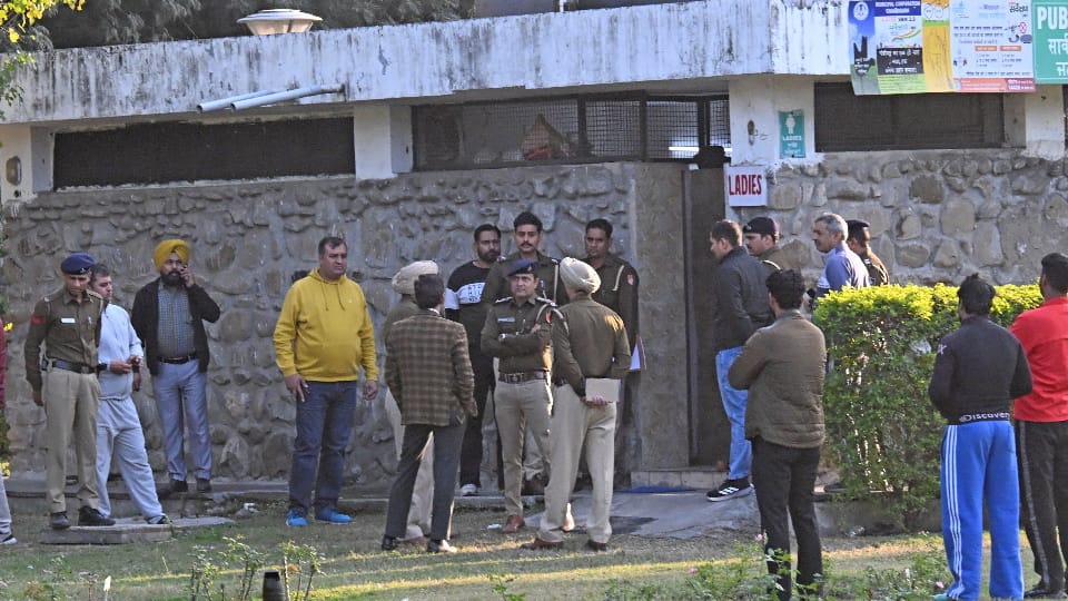 Women murder in rose garden Chandigarh crime news today