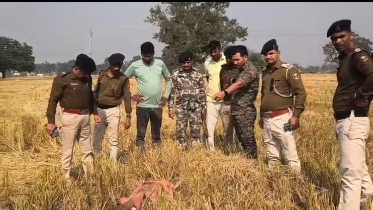 Bihar News: धान कटे खेत में 60 वर्षीय अधेड़ का शव मिलने से सनसनी, हत्या की जताई गई आशंका