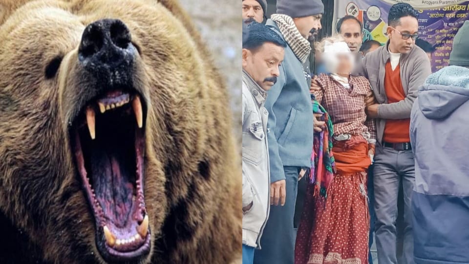 Uttarkashi News bear attacked an elderly woman in Pahi village Bhatwadi referred to a higher centre