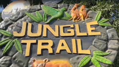 Noida Jungle Trail Park open today know about ticket price