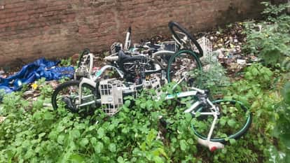Smart City's bicycles...sometimes hanging from trees and sometimes diving in ponds