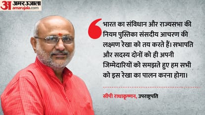 सीपी राधाकृष्णन, उपराष्ट्रपति