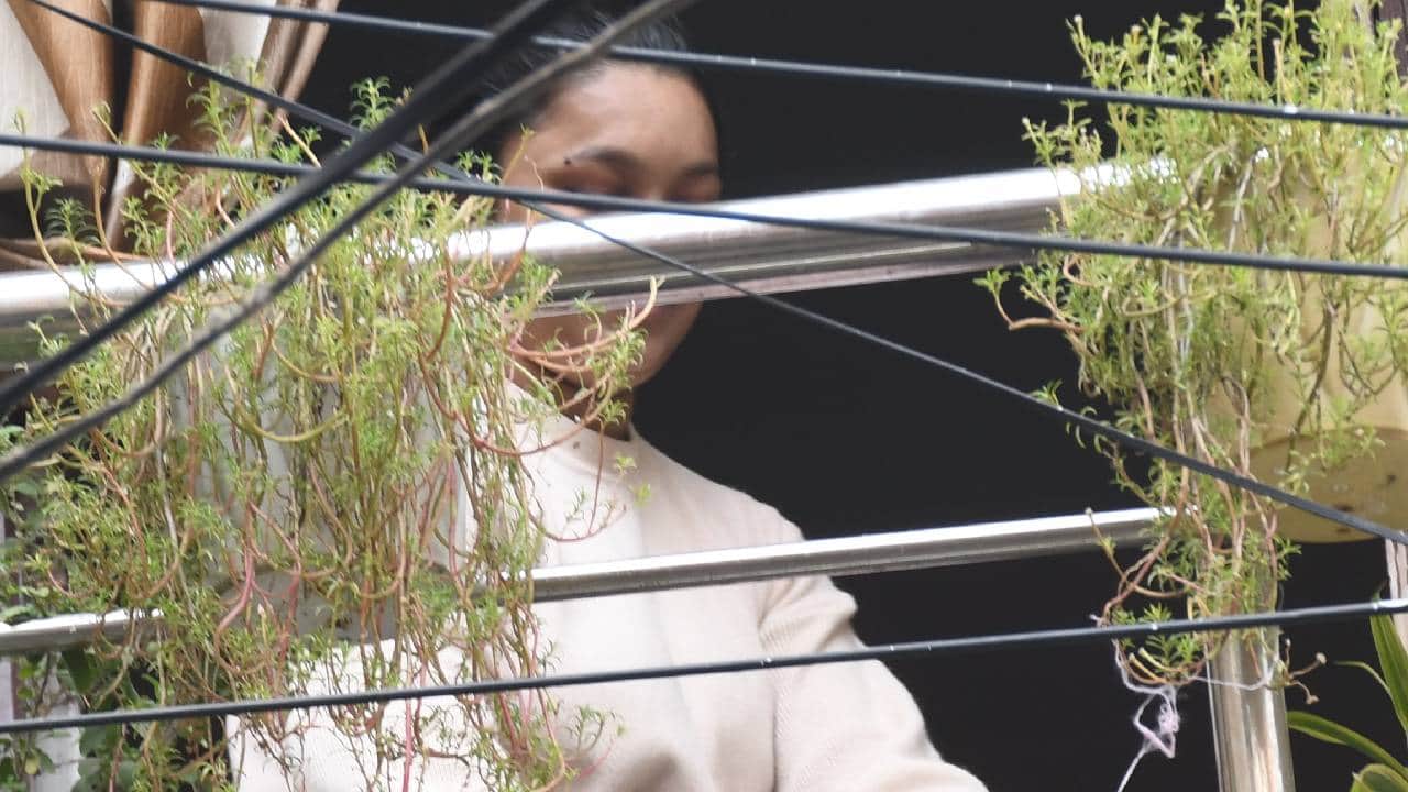 UP: NIA raids Dr Shaheen's home; neighbors panic after seeing several police jeeps; say this...