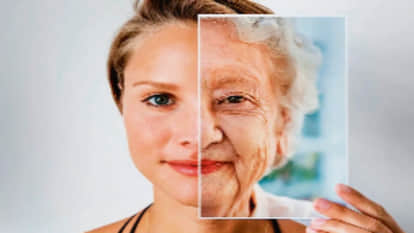 Scientists discovered new anti-aging compounds made from little-known bacterial species found in blood